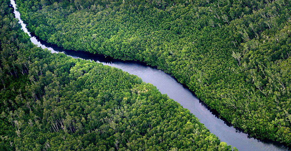 安博电竞·(中国区)官方网站